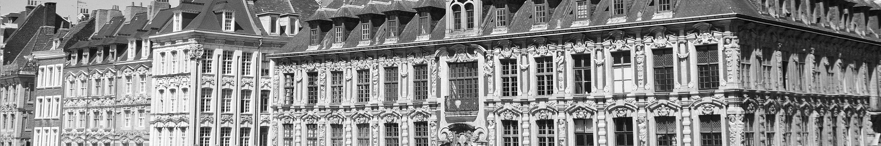 Cabinet d'avocat spécialisé en Marchés Publics et droit de la fonction publique, Paris et Lille 