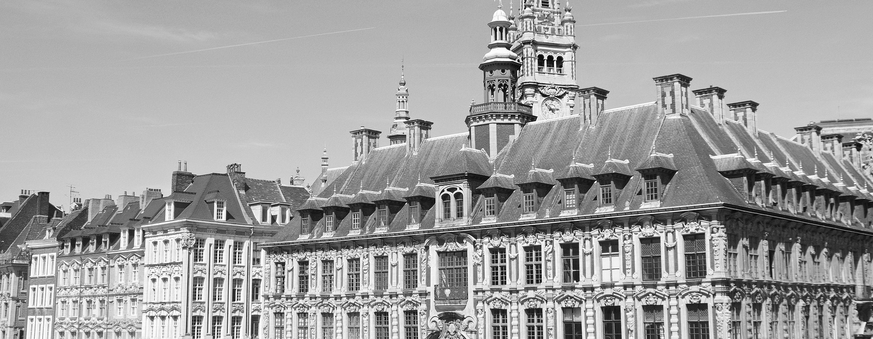 Laurent Frölich avocat des marchés publics et avocat délégations de service public, Avocat droit public Paris et Lille, Avocat fonction publique